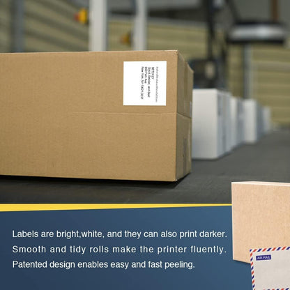 10 Rollen DK-22205 Endlosetiketten (Papier) Kompatibel mit Brother, 62mm x 30.48m, 10 Etiketten für Brother QL Etikettendrucker (2 Wiederverwendbare Etikettenhalter)